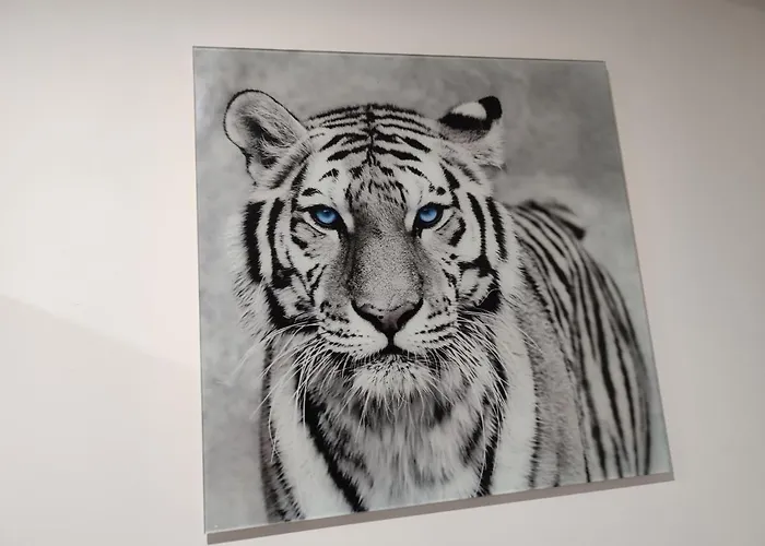 Eye Of The Tiger. Apartament W Centrum Mragowa.