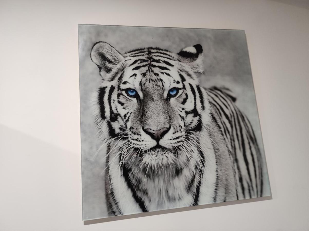 Apartment Eye Of The Tiger. W Centrum Mragowa.